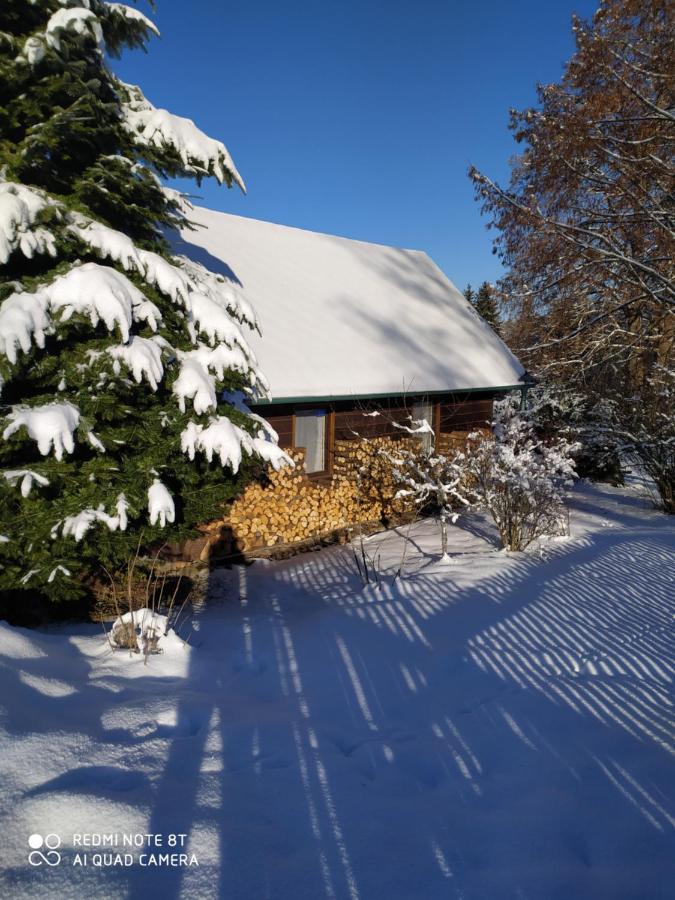 Chata Dvorecna Villa Loucovice Exterior photo