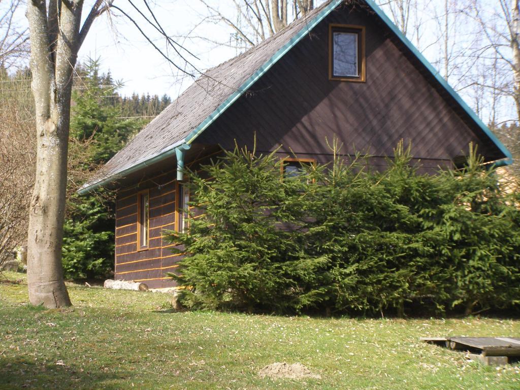 Chata Dvorecna Villa Loucovice Exterior photo