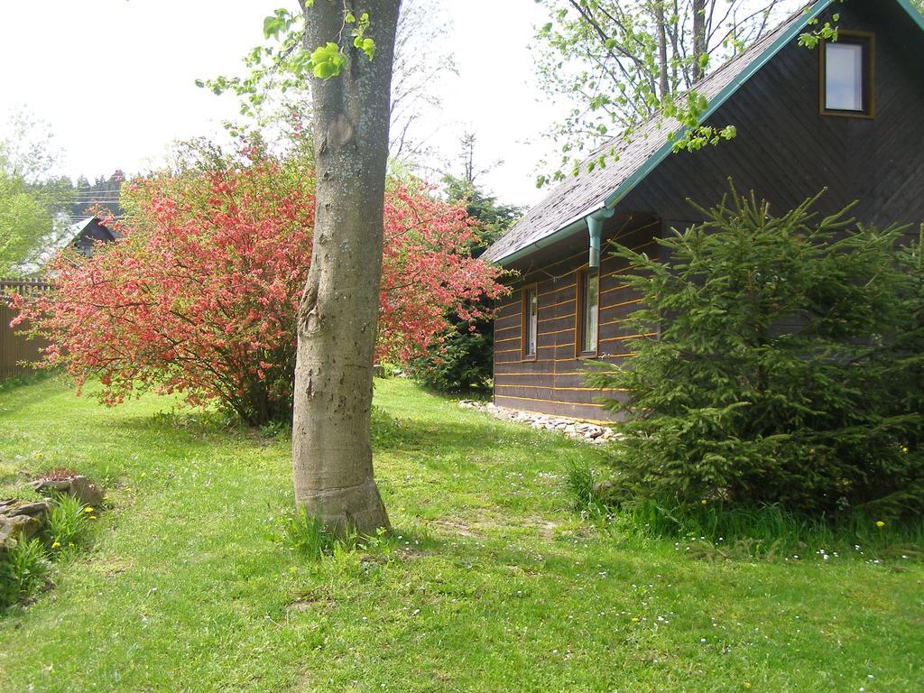 Chata Dvorecna Villa Loucovice Exterior photo